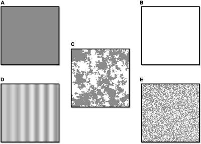 Why Do Agroforestry Systems Enhance Biodiversity? Evidence From Habitat Amount Hypothesis Predictions